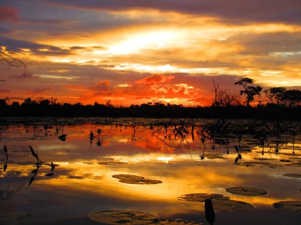 Birthday Sunset in Botswana, Okavango Delta